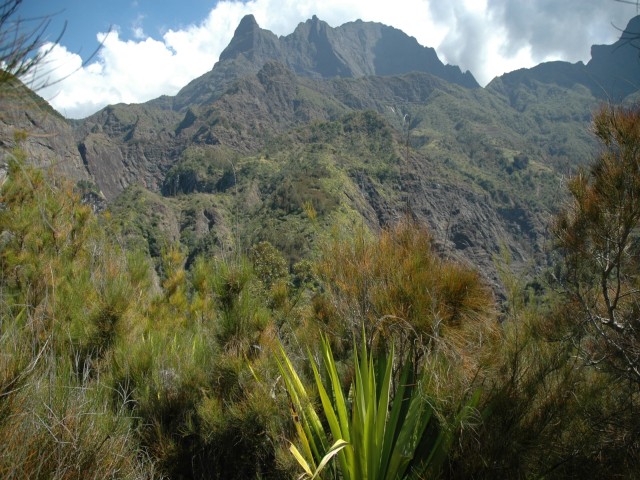 La reunion