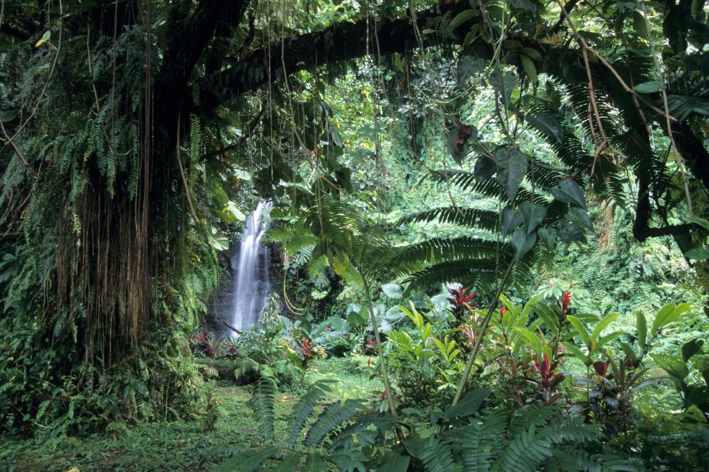 Wasserfall